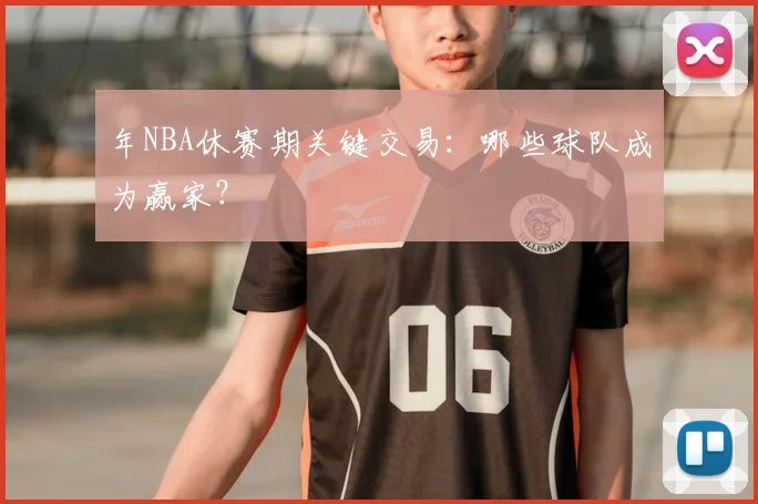 年NBA休赛期关键交易：哪些球队成为赢家？