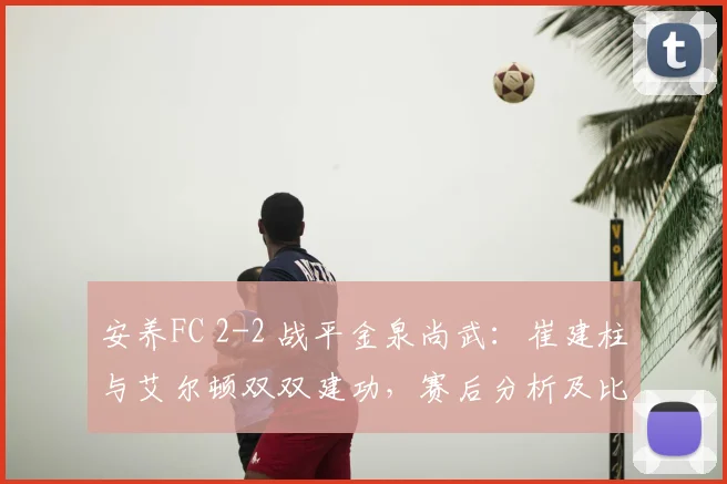 安养FC 2-2 战平金泉尚武：崔建柱与艾尔顿双双建功，赛后分析及比赛关键看点
