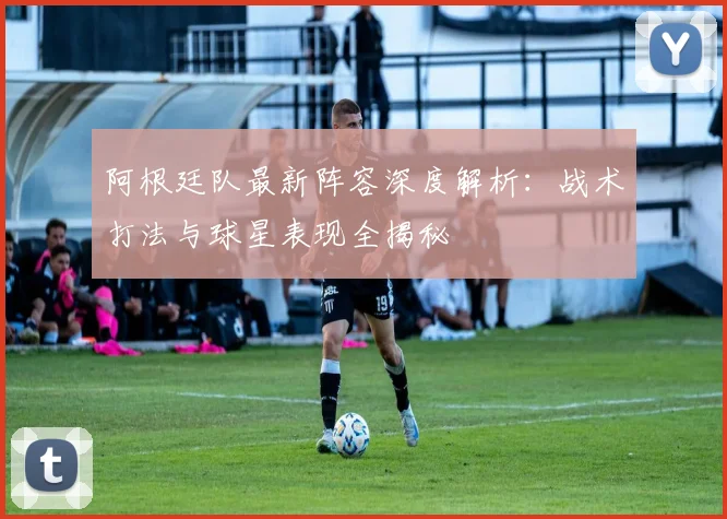 阿根廷队最新阵容深度解析：战术打法与球星表现全揭秘